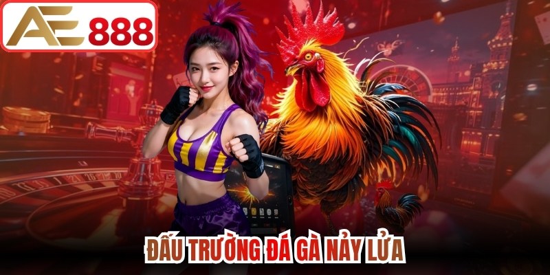 Đấu trường đá gà nảy lửa