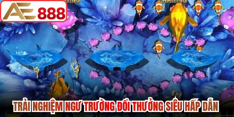 Trải nghiệm ngư trường đổi thưởng siêu hấp dẫn