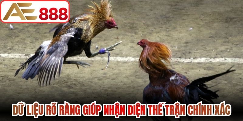 Dữ liệu rõ ràng giúp nhận diện thế trận chính xác hơn