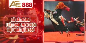 Đá Gà Thomo - Luật Chơi Và Mẹo Cược Hiệu Quả Tại AE888