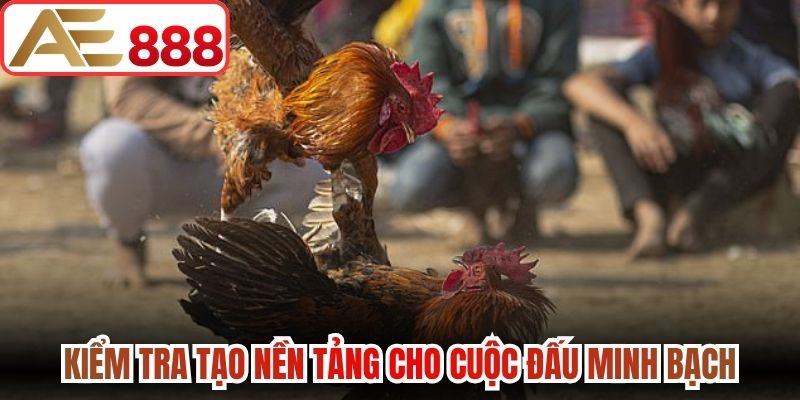 Kiểm tra tạo nền tảng cho cuộc đấu minh bạch
